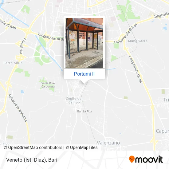 Mappa Veneto (Ist. Diaz)