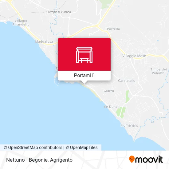 Mappa Nettuno - Begonie