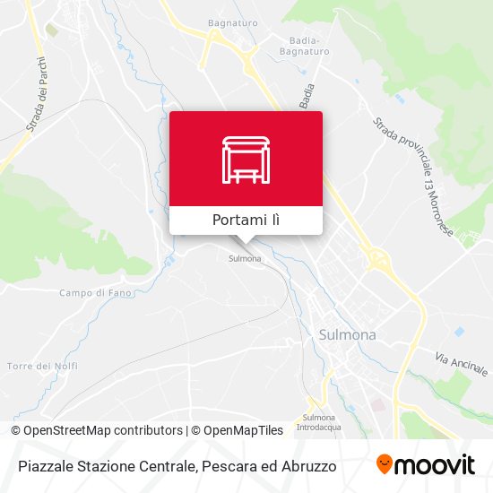 Mappa Piazzale Stazione Centrale