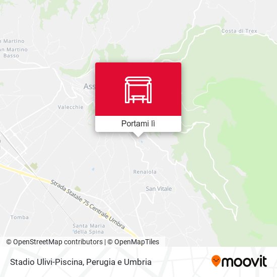 Mappa Stadio Ulivi-Piscina