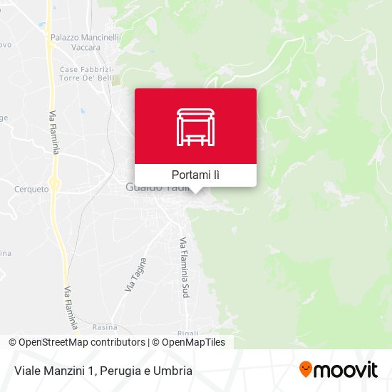 Mappa Viale Manzini 1