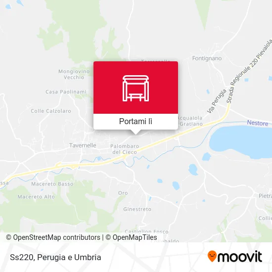 Mappa Ss220