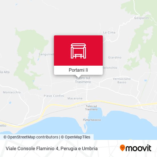 Mappa Viale Console Flaminio 4
