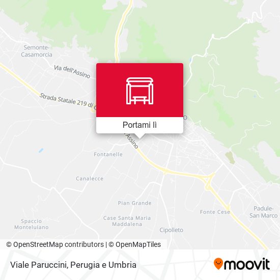 Mappa Viale Paruccini