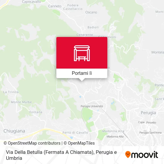 Mappa Via Della Betulla (Fermata A Chiamata)