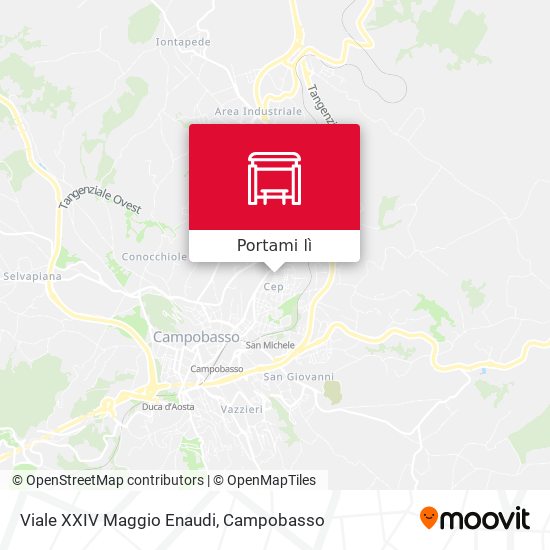 Mappa Viale XXIV Maggio Enaudi