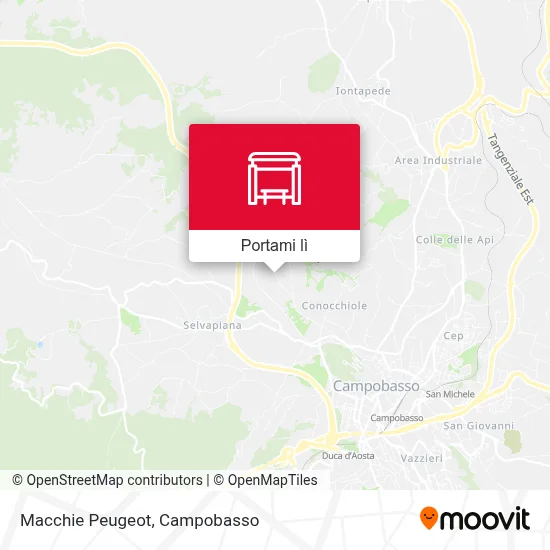 Mappa Macchie Peugeot