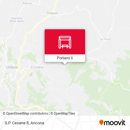 Mappa S.P. Cesane 8