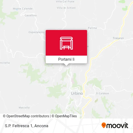 Mappa S.P. Feltresca 1