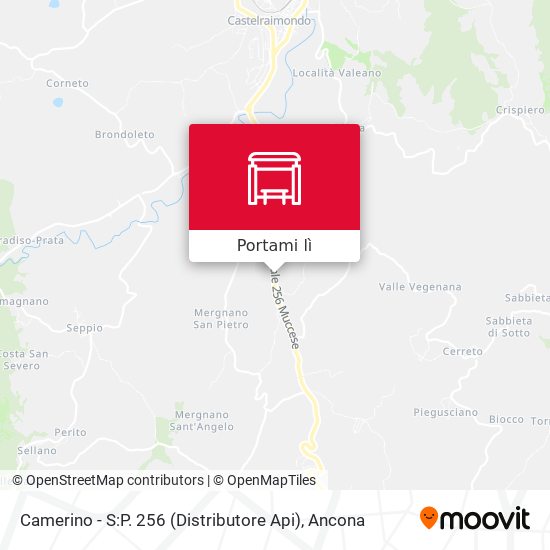 Mappa Camerino - S:P. 256 (Distributore Api)
