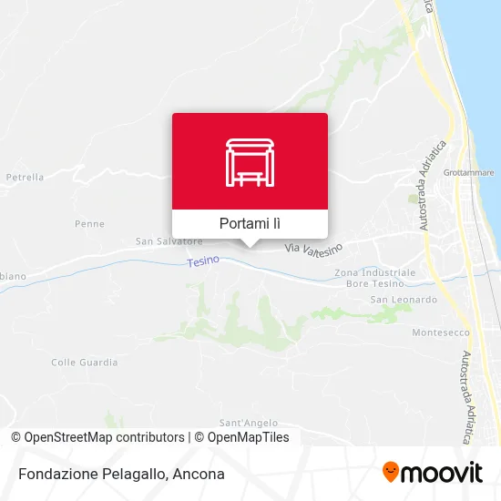 Mappa Fondazione Pelagallo