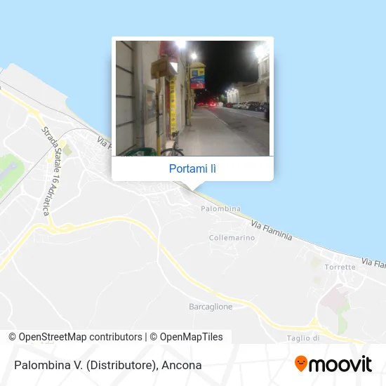 Mappa Palombina V. (Distributore)