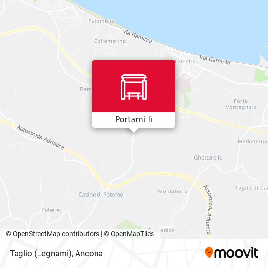 Mappa Taglio (Legnami)