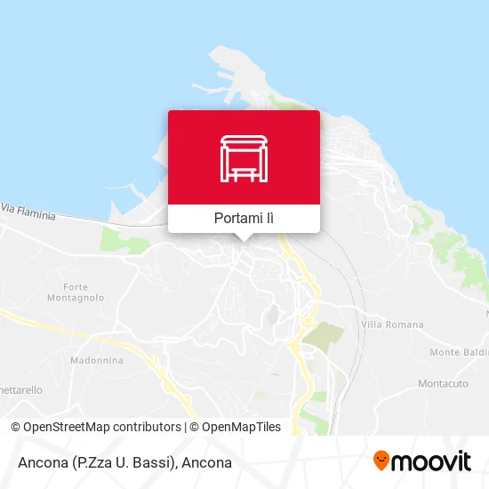 Mappa Ancona (P.Zza  U. Bassi)