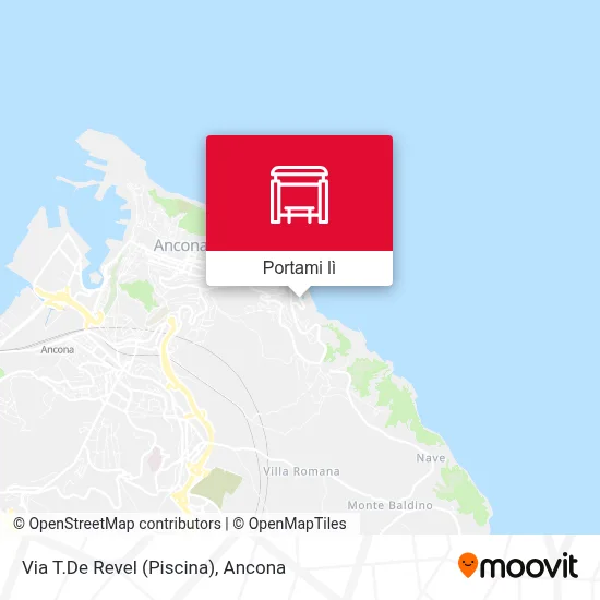 Mappa Via T.De Revel (Piscina)