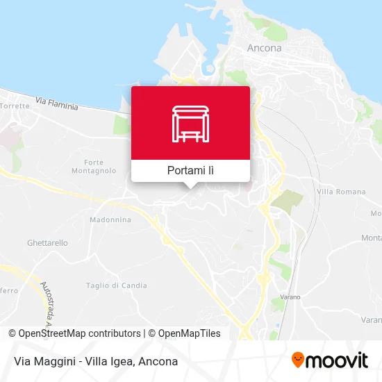 Mappa Via Maggini - Villa Igea