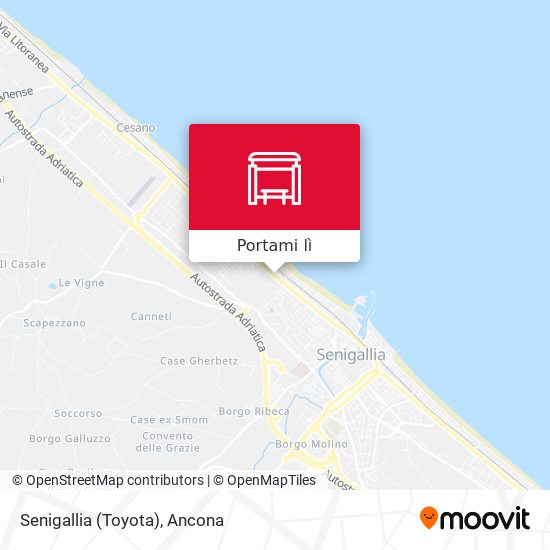 Mappa Senigallia (Toyota)