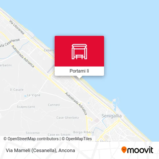 Mappa Via Mameli (Cesanella)