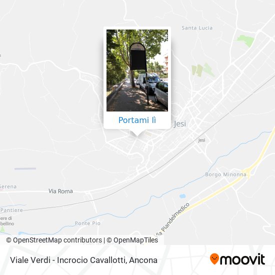 Mappa Viale Verdi - Incrocio Cavallotti