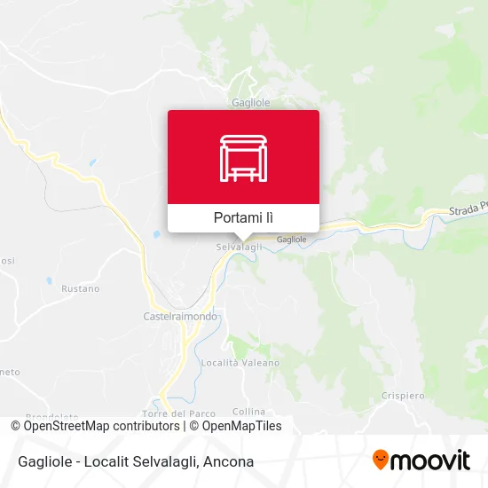 Mappa Gagliole - Localit Selvalagli
