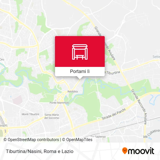Mappa Tiburtina/Nasini