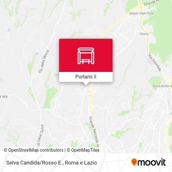 Mappa Selva Candida/Rosso E.