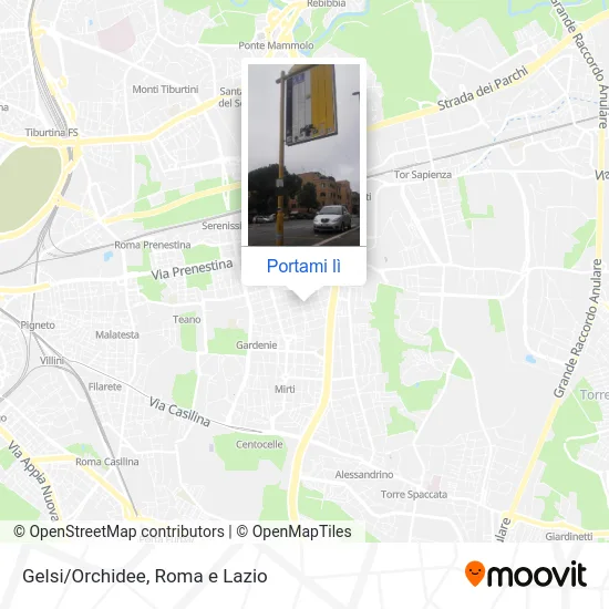 Mappa Gelsi/Orchidee