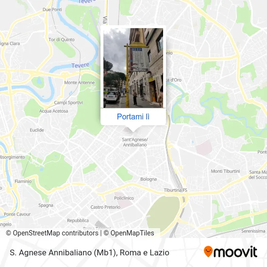 Mappa S. Agnese Annibaliano (Mb1)