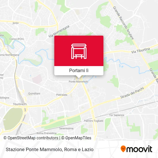 Mappa Stazione Ponte Mammolo