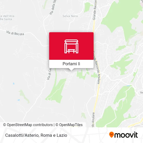 Mappa Casalotti/Asterio