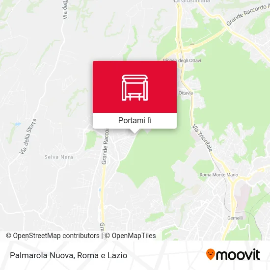 Mappa Palmarola Nuova