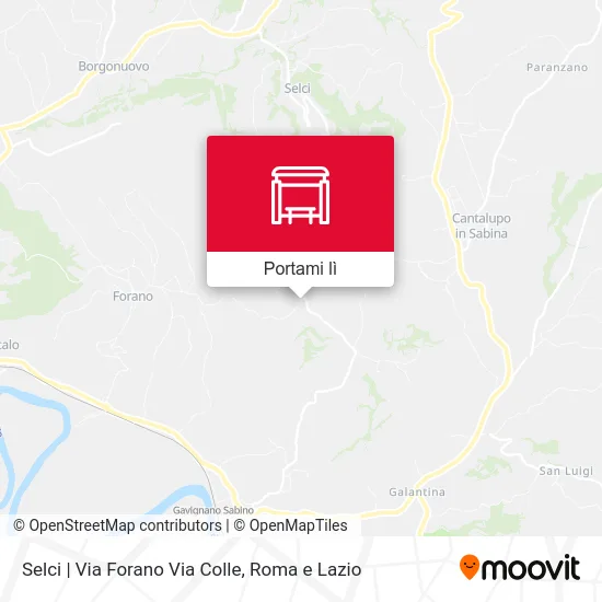 Mappa Selci | Via Forano Via Colle