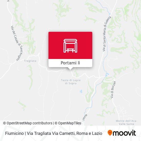 Mappa Fiumicino | Via Tragliata Via Cametti