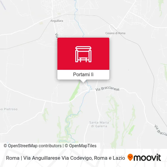 Mappa Roma | Via Anguillarese Via Codevigo