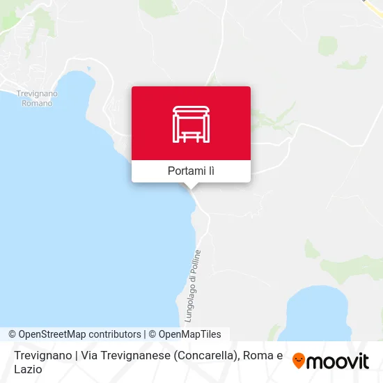 Mappa Trevignano | Via Trevignanese (Concarella)