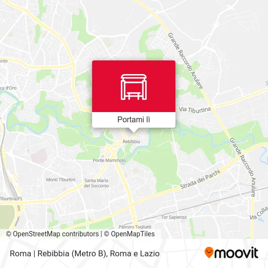 Mappa Roma | Rebibbia (Metro B)