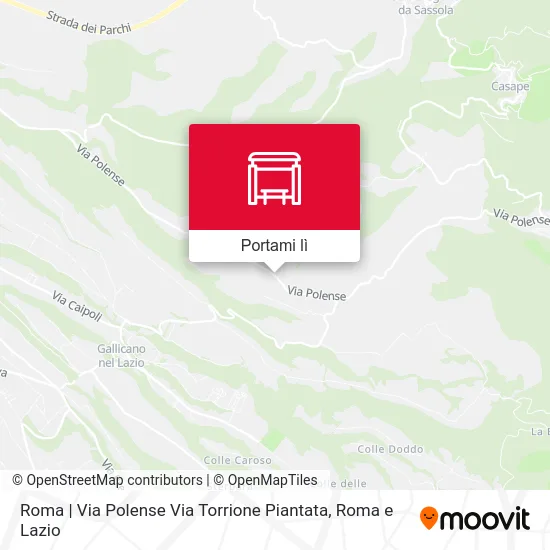 Mappa Roma | Via Polense Via Torrione Piantata