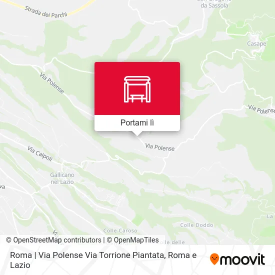Mappa Roma | Via Polense Via Torrione Piantata