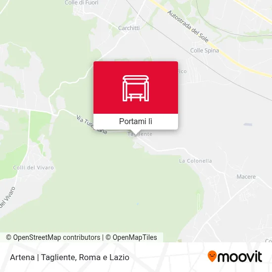 Mappa Artena | Tagliente