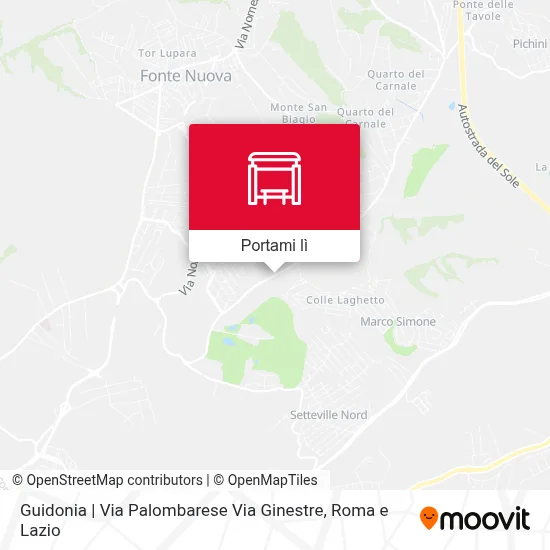 Mappa Guidonia | Via Palombarese Via Ginestre