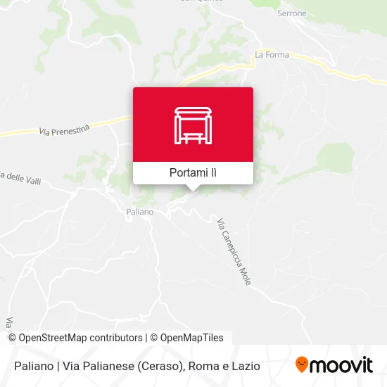 Mappa Paliano | Via Palianese (Ceraso)