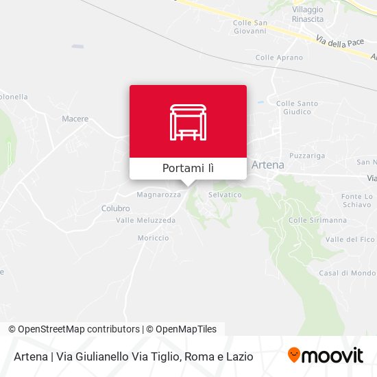 Mappa Artena | Via Giulianello Via Tiglio