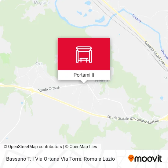 Mappa Bassano T. | Via Ortana Via Torre