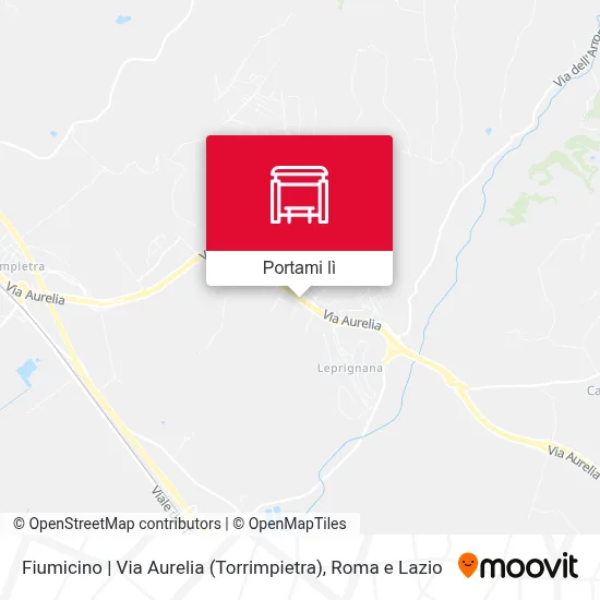 Mappa Fiumicino | Via Aurelia (Torrimpietra)