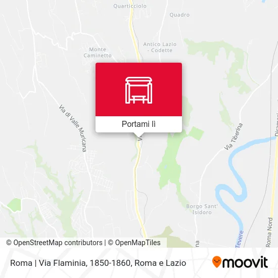 Mappa Roma | Via Flaminia, 1850-1860