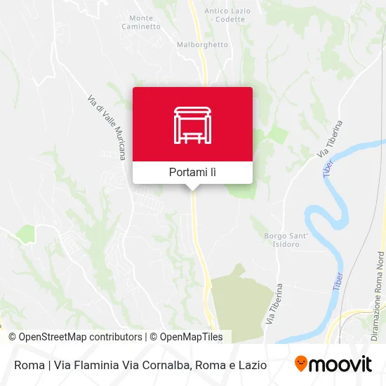 Mappa Roma | Via Flaminia Via Cornalba