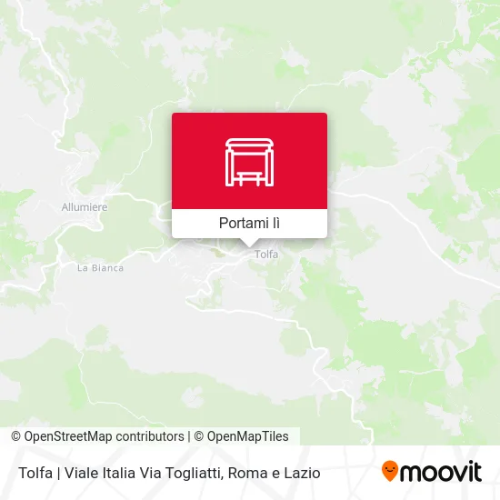 Mappa Tolfa | Viale Italia Via Togliatti