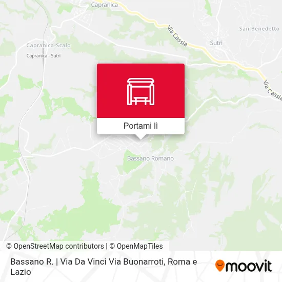 Mappa Bassano R. | Via Da Vinci Via Buonarroti