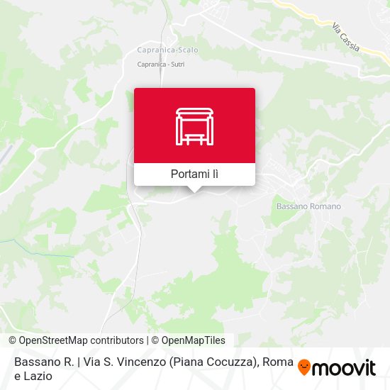 Mappa Bassano R. | Via S. Vincenzo (Piana Cocuzza)