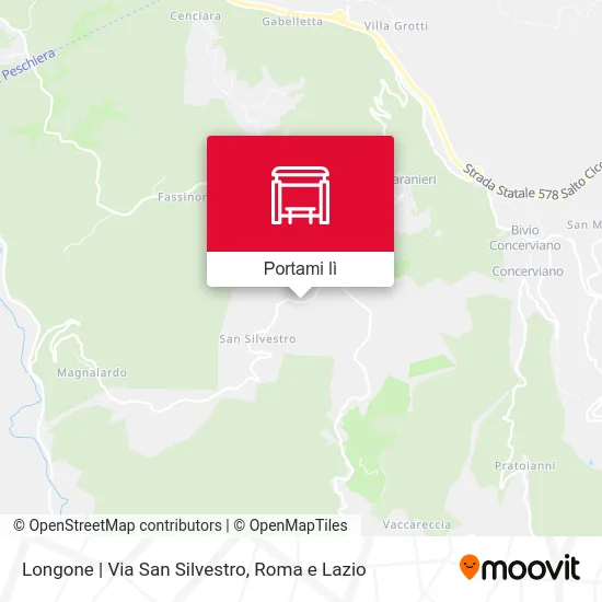 Mappa Longone | Via San Silvestro